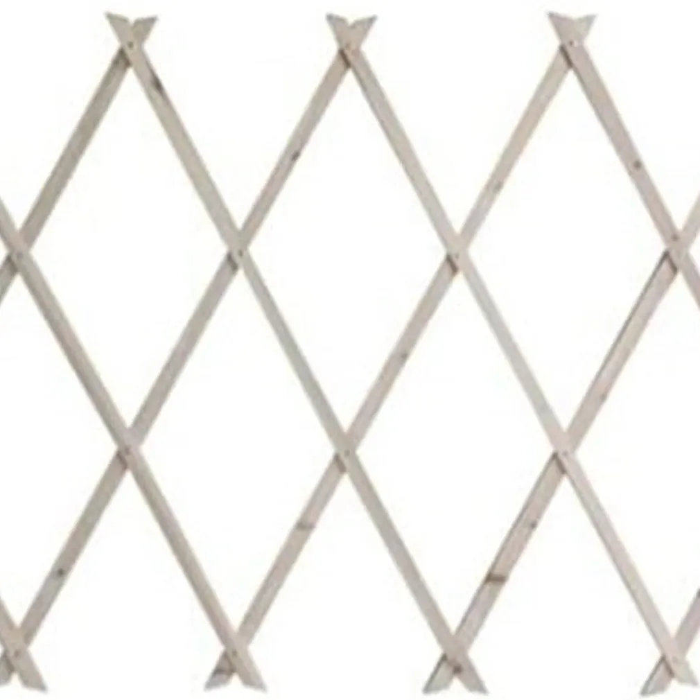TRALICCIO ESTENSIBILE IN LEGNO NATURALE CHIARO PIANTE RAMPICANTI GIARDINO 200X100CM 222734