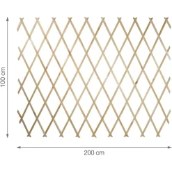 TRALICCIO LEGNO RETE ESTENSIBILE PIANTE RAMPICANTI STACCIONATA 100X200 CM 206429