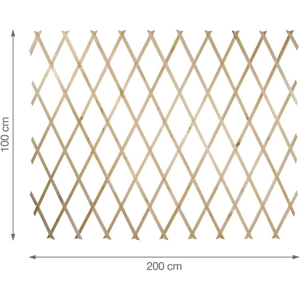 TRALICCIO LEGNO RETE ESTENSIBILE PIANTE RAMPICANTI STACCIONATA 100X200 CM 206429
