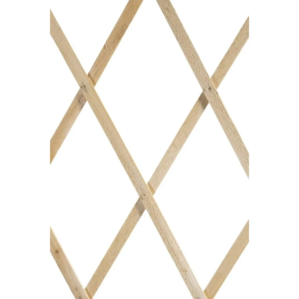 TRALICCIO LEGNO RETE ESTENSIBILE PIANTE RAMPICANTI STACCIONATA 180X60 CM 129682