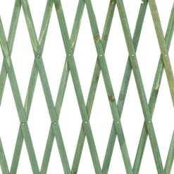 TRALICCIO RETE ESTENSIBILE IN LEGNO VERDE PER PARETE DA GIARDINO PIANTE 100X200