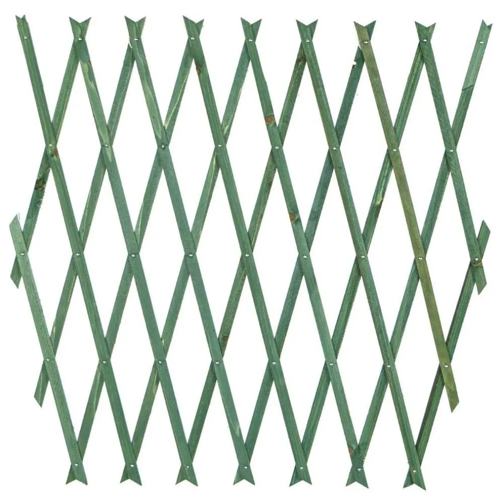 TRALICCIO RETE ESTENSIBILE IN LEGNO VERDE PER PARETE DA GIARDINO PIANTE 300X100