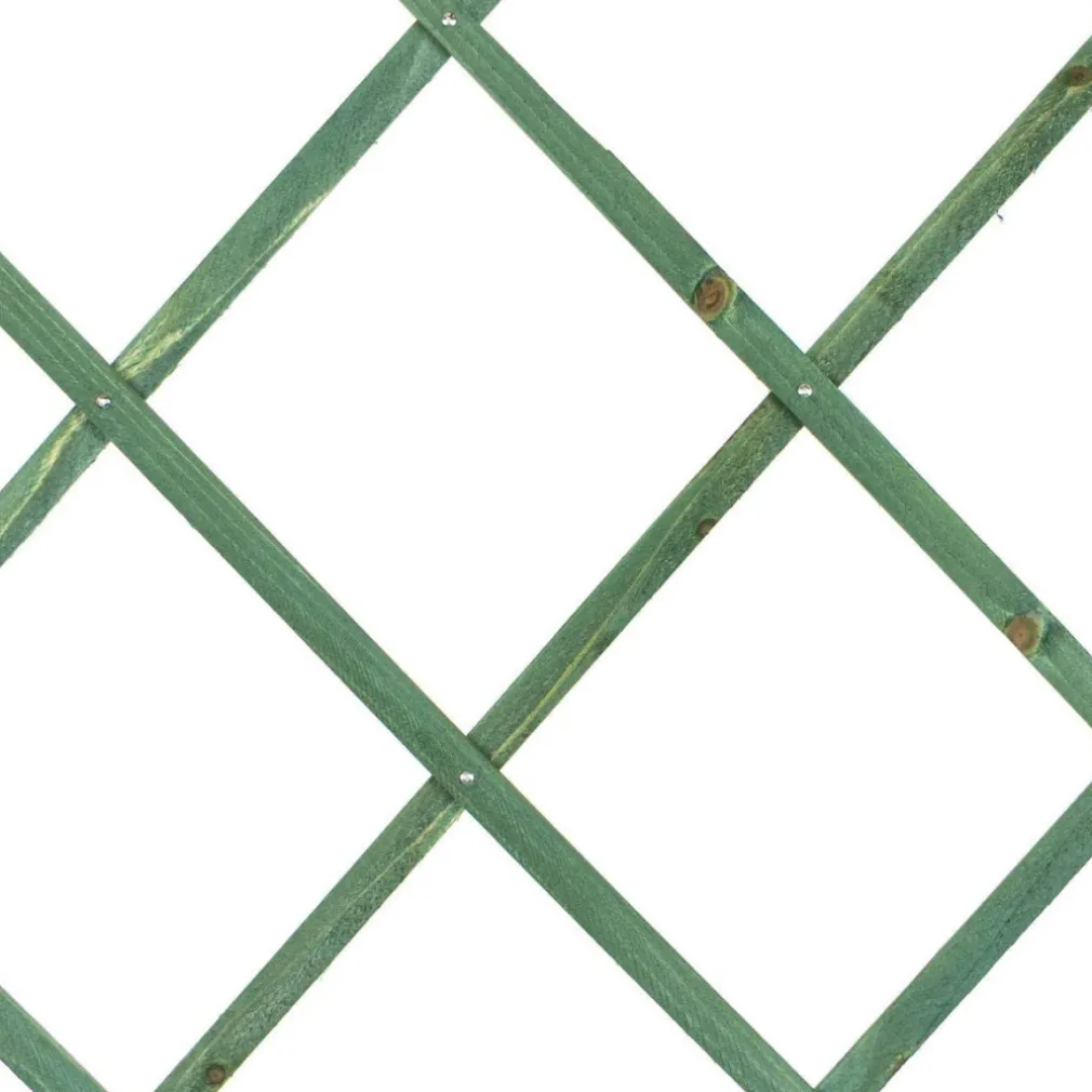 TRALICCIO RETE ESTENSIBILE IN LEGNO VERDE PER PARETE DA GIARDINO PIANTE 300X100