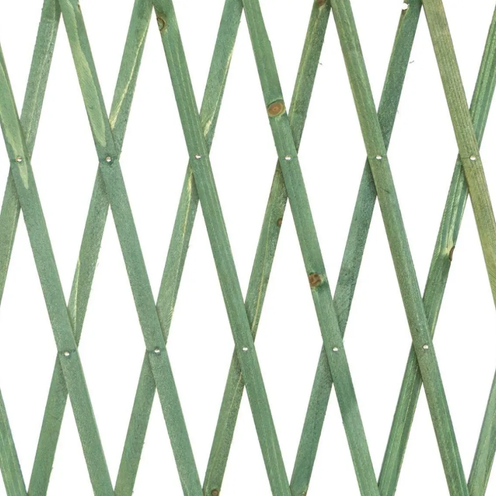 TRALICCIO RETE ESTENSIBILE IN LEGNO VERDE PER PARETE DA GIARDINO PIANTE 300X100