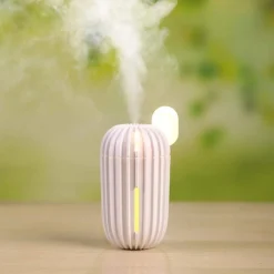 UMIDIFICATORE USB ULTRASUONI CACTUS 200ML AROMATERAPIA DIFFUSORE DEPURATORE CASA