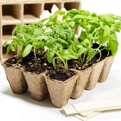 VASI VASETTI BIODEGRADABILI PER PIANTINE PIANTE FIORI SEMENZAIO 18PZ 18X8X8 CM